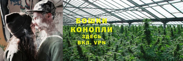 бутират Лагань