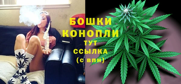 бутират Лагань